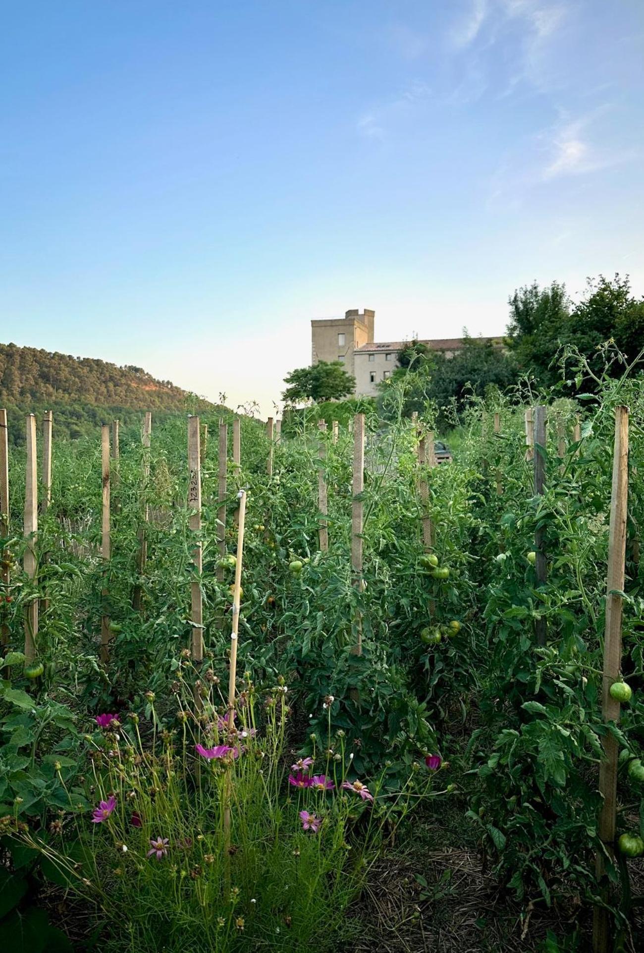 Domaine La Ferme Hi Bride Bed and Breakfast Villelaure Buitenkant foto